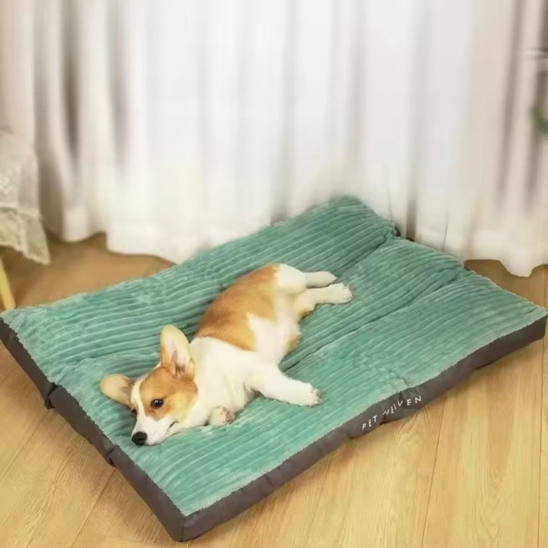 Pfotenjoy OrthoCloud Pro™