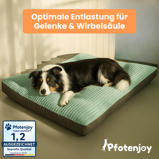 Pfotenjoy OrthoCloud Pro™