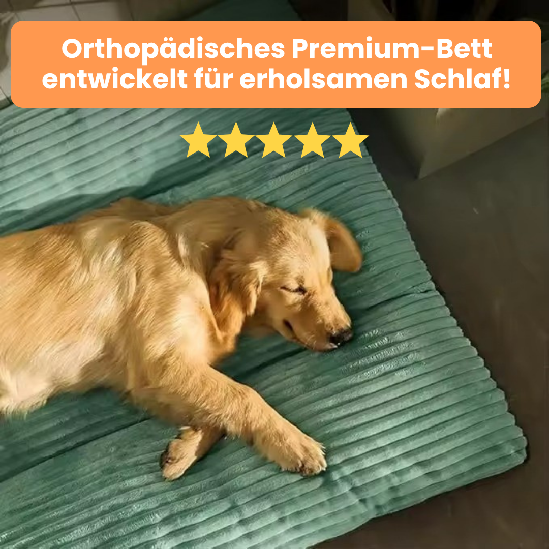 Pfotenjoy OrthoCloud Pro™